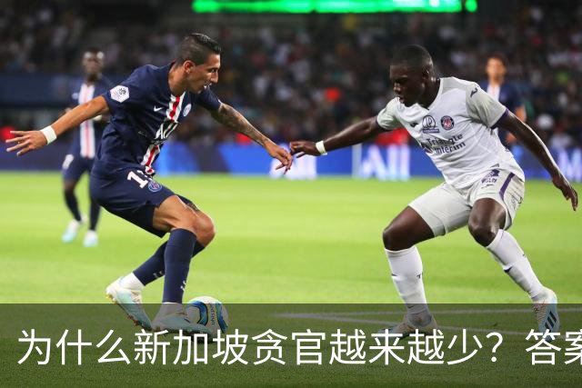 为什么新加坡贪官越来越少？答案竟藏在一条简单却极具杀伤力的法律，不查饭局、不追红包，只核对你的收入和资产