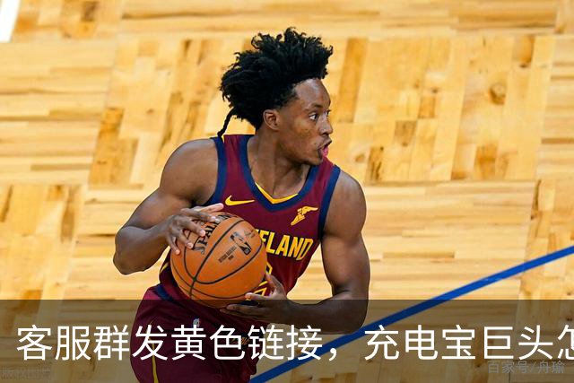 客服群发黄色链接，充电宝巨头怎么了？