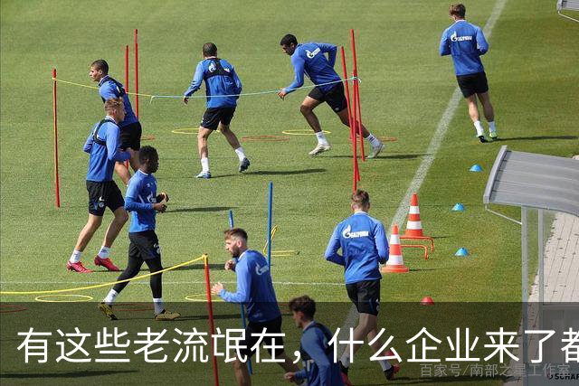 有这些老流氓在，什么企业来了都会“水土不服”...