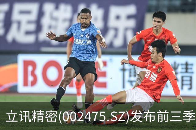 立讯精密(002475.SZ)发布前三季度业绩,归母净利润130.57亿元,同比增长13.36%