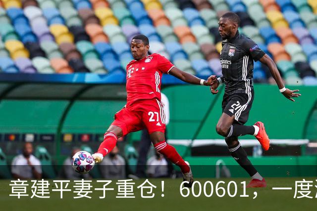 章建平妻子重仓！600601，一度涨停