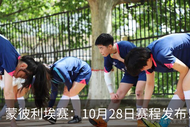 蒙彼利埃赛:10月28日赛程发布!国乒5人出战,王曼昱大迪迎强敌