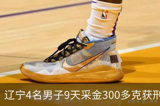 辽宁4名男子9天采金300多克获刑，村里砂土为何能淘金？土法筛金对人体和环境有何危害？