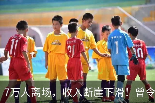 7万人离场,收入断崖下滑!曾令人羡慕的“金饭碗”岗位正被清零