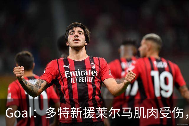 Goal：多特新援莱尔马肌肉受伤，复出时间未定